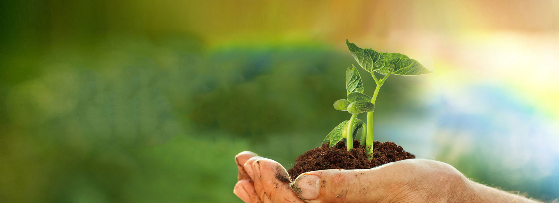 pp电子游戏·模拟器(试玩)官方网站