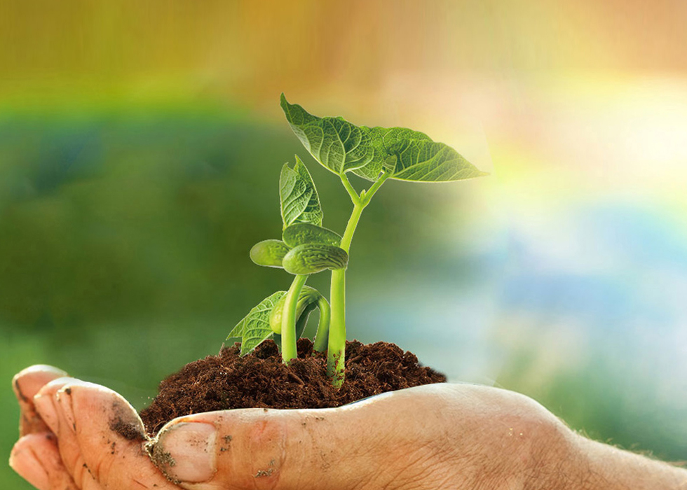 pp电子游戏·模拟器(试玩)官方网站