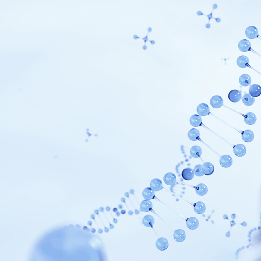 pp电子游戏·模拟器(试玩)官方网站